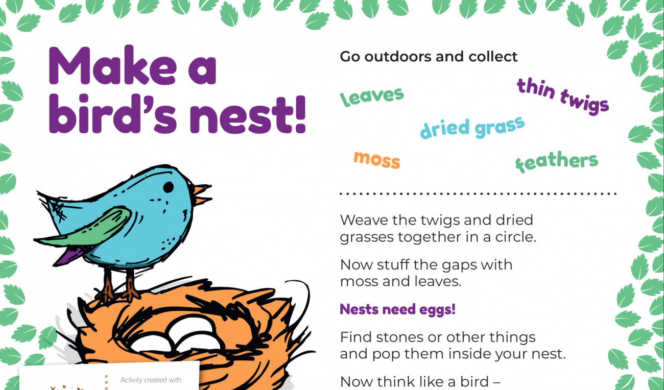 Make a Bird's Nest