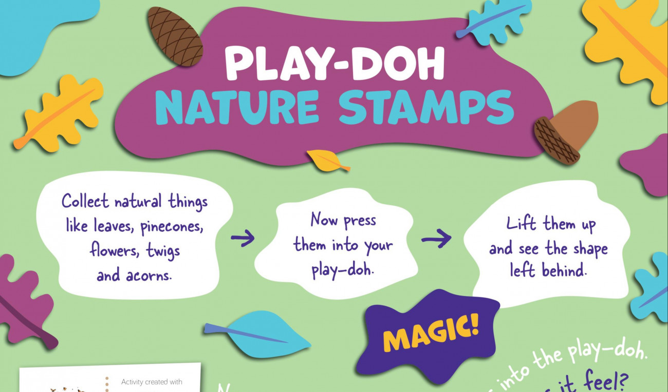 Play-Doh Nature Stamps