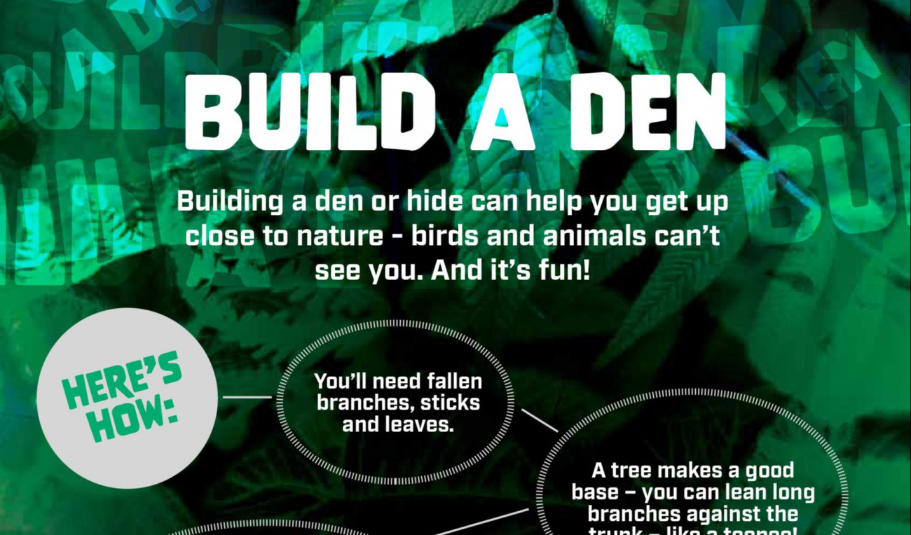 Build a Den!