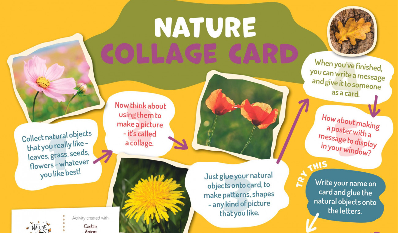 Nature Collage Card