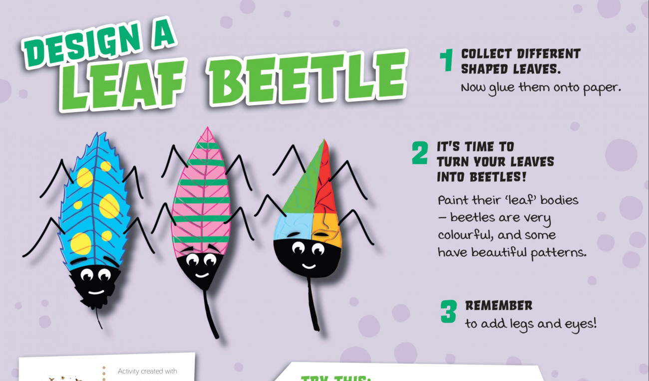 Design a Leaf Beetle