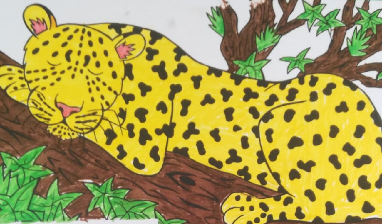 Cheetah Colouring In